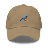Birder Hat