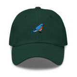Birder Hat