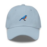 Birder Hat