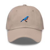 Birder Hat