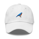 Birder Hat