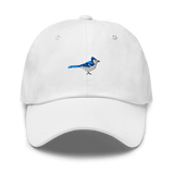 Birder Hat