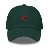 Birder Hat