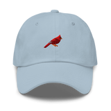 Birder Hat