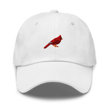 Birder Hat