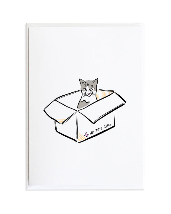 Cat In Box Greeting Card