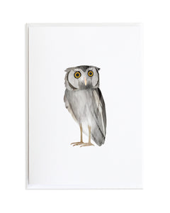 Owl Card