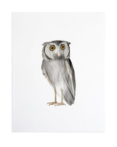 Owl Print