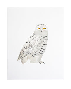 Snowy Owl Print