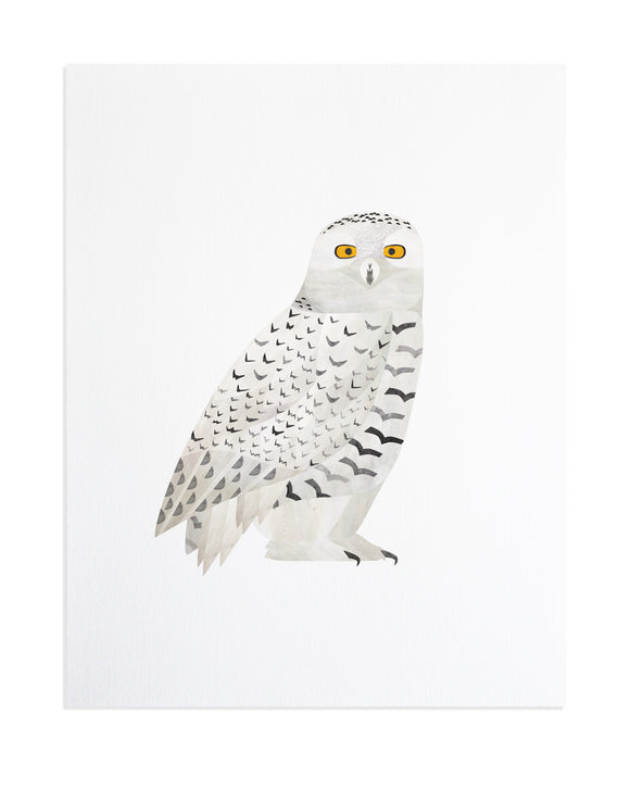 Snowy Owl Print
