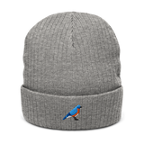 *Pre-order* Birder Beanie