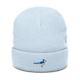 *Pre-order* Birder Beanie