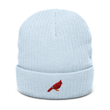 *Pre-order* Birder Beanie