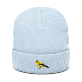 *Pre-order* Birder Beanie