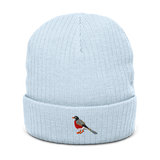 *Pre-order* Birder Beanie