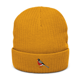 *Pre-order* Birder Beanie