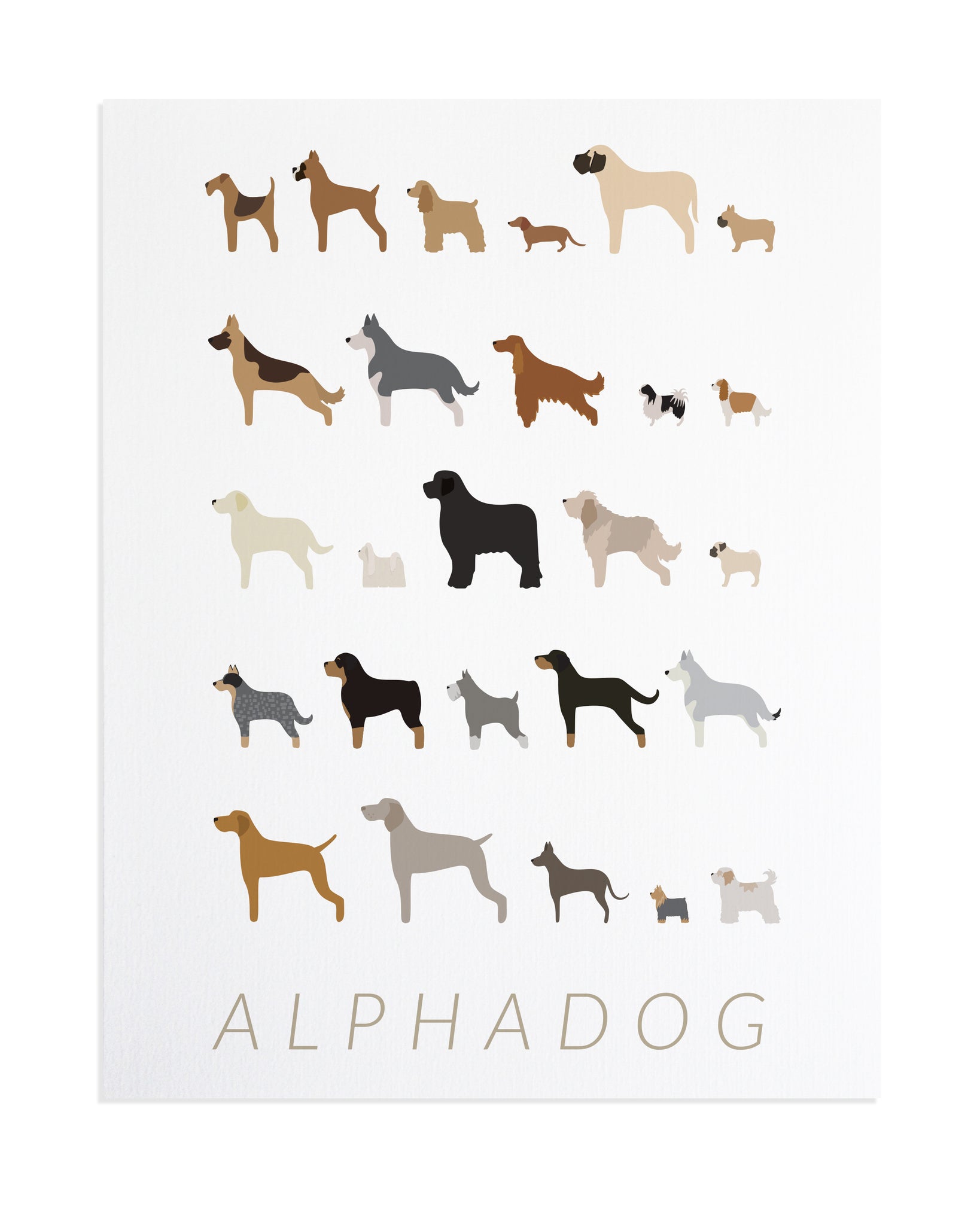 dog breed alphabet poster