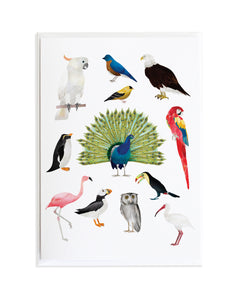Watercolor Bird Greeting Card by Anne Green Design