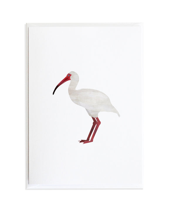 Watercolor Ibis Bird Greeting Card by Anne Green Design