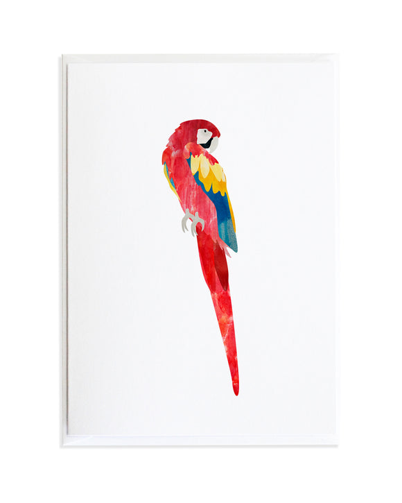 Watercolor Macaw Parrot Bird Greeting Card by Anne Green Design