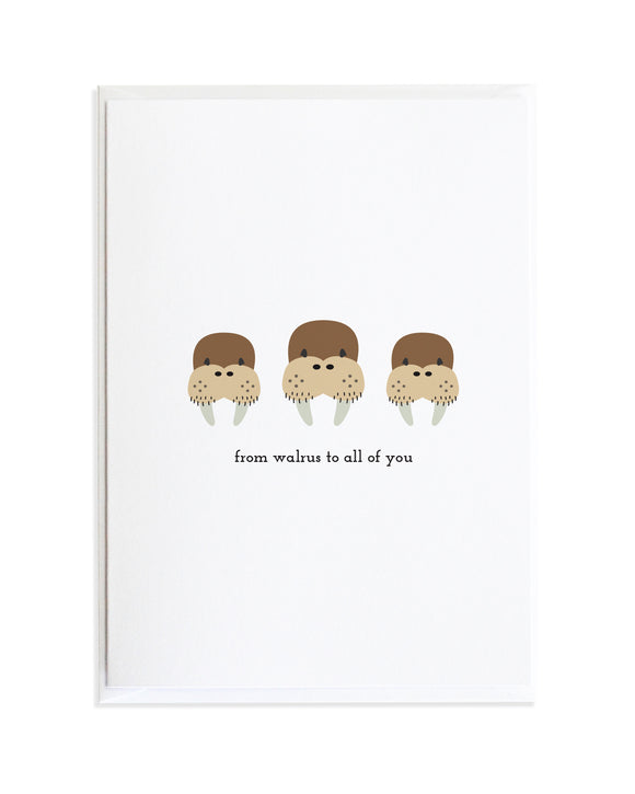 From Walrus to All of You Christmas Card by Anne Green Design