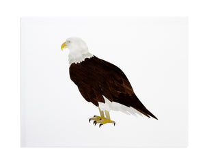 Bald Eagle Print