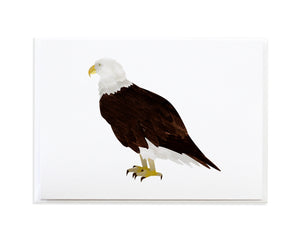Watercolor Bald Eagle Greeting Card by Anne Green Design