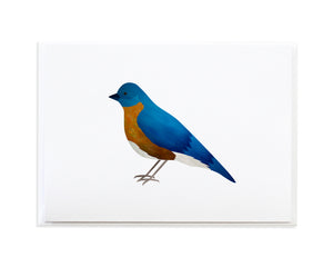 Watercolor Bluebird Greeting Card by Anne Green Design