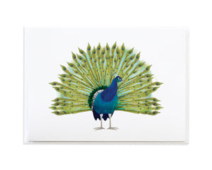 Watercolor Peacock Bird Greeting Card by Anne Green Design