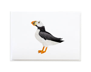 Watercolor Puffin Bird Greeting Card by Anne Green Design