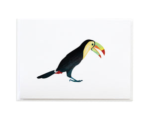 Watercolor Toucan Bird Greeting Card by Anne Green Design