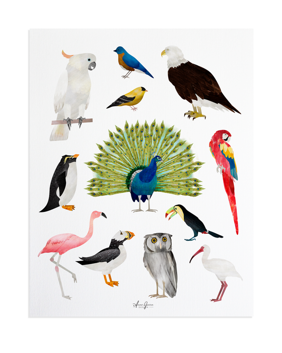 Bird Print