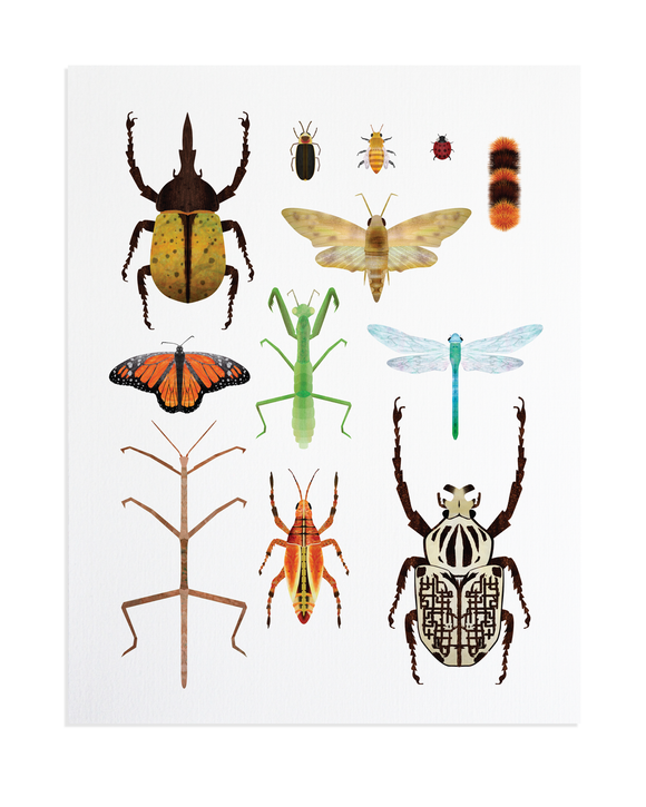 Insect Print