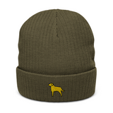 AlphaDog Ribbed Knit Beanie (I-P)