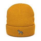 AlphaDog Ribbed Knit Beanie (I-P)