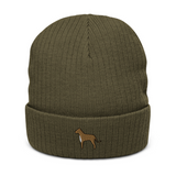AlphaDog Ribbed Knit Beanie (I-P)
