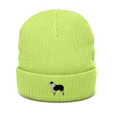 AlphaDog Ribbed Knit Beanie (A-E)