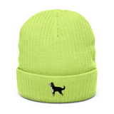 AlphaDog Ribbed Knit Beanie (A-E)