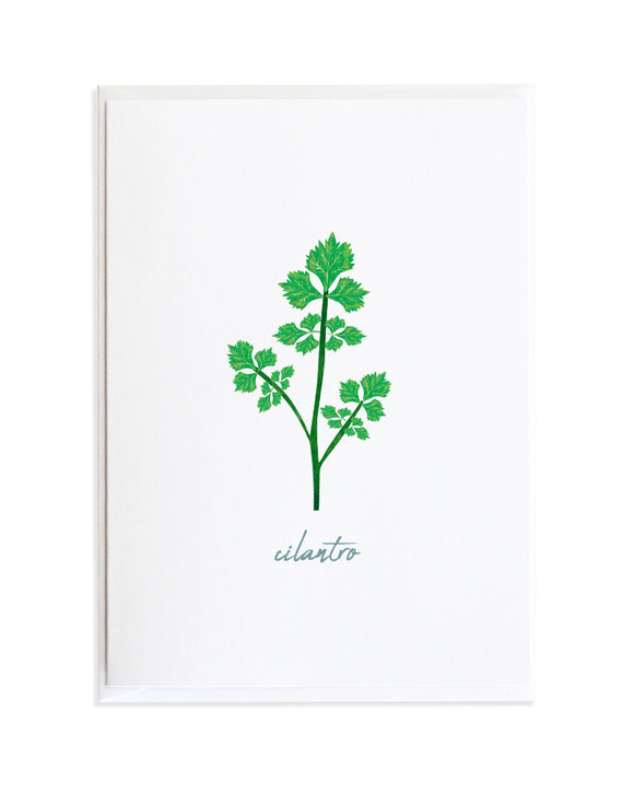 Cilantro Greeting Card