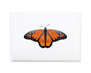 Monarch Butterfly Card