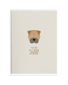 You're Sharp - Sharpei Dog Card