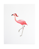 Flamingo Holiday Print
