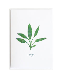 Sage Greeting Card
