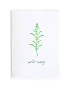 Winter Savory Greeting Card